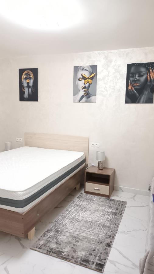 Apartament Timeea 伯伊莱海尔库拉内 外观 照片