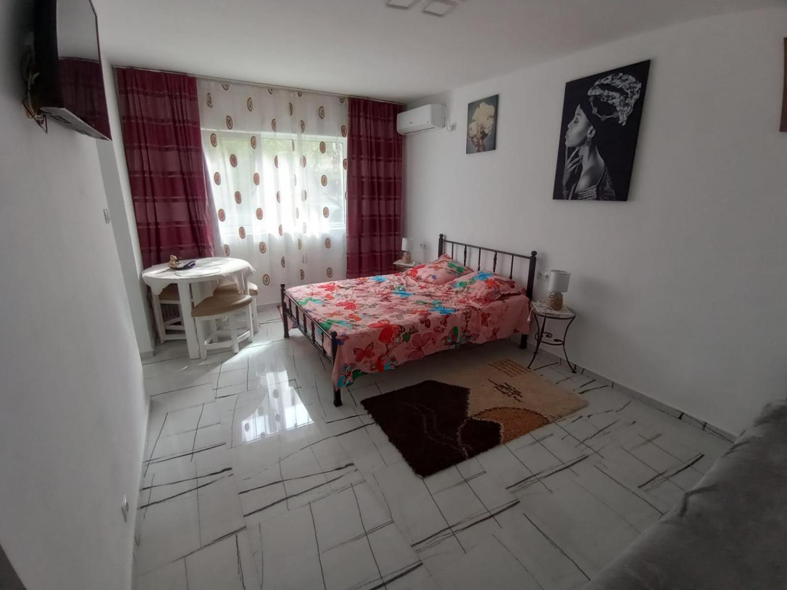 Apartament Timeea 伯伊莱海尔库拉内 外观 照片