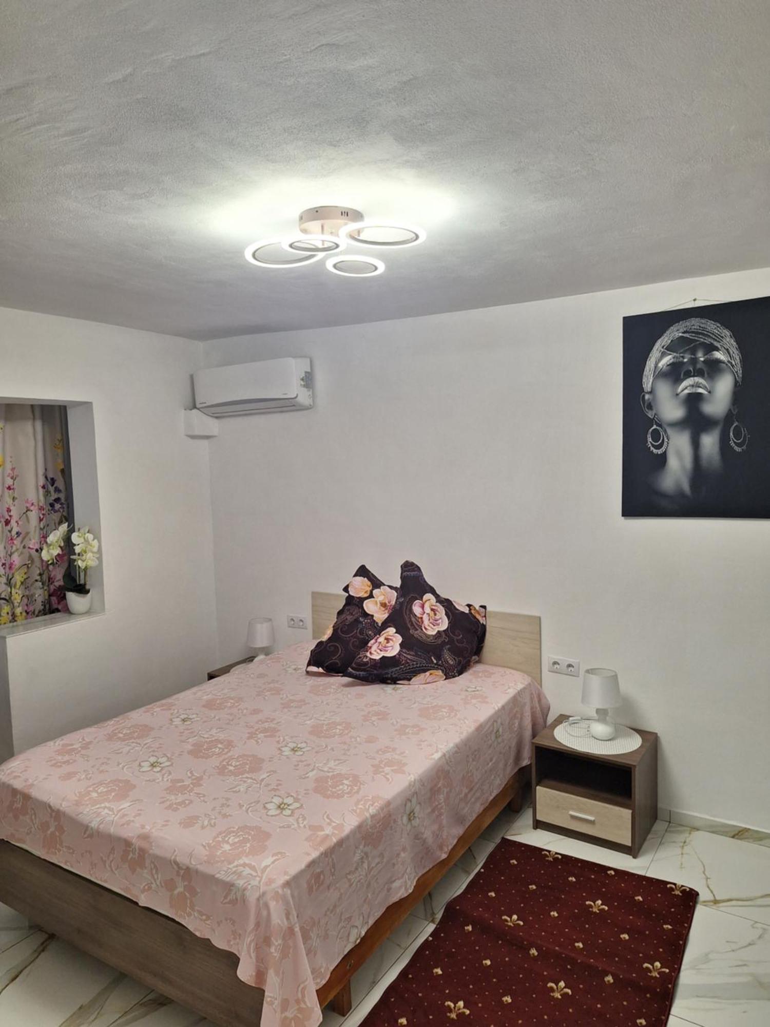 Apartament Timeea 伯伊莱海尔库拉内 外观 照片