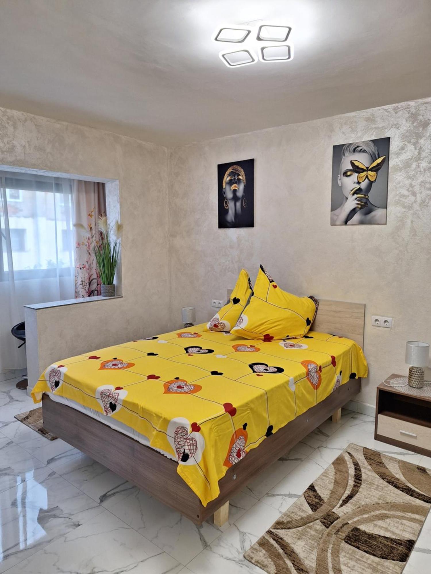 Apartament Timeea 伯伊莱海尔库拉内 外观 照片