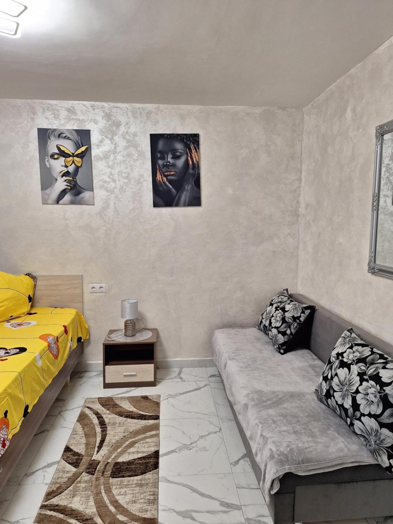 Apartament Timeea 伯伊莱海尔库拉内 外观 照片